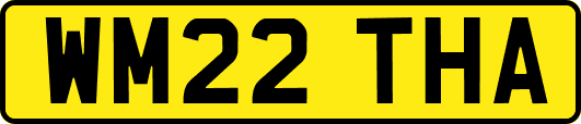 WM22THA