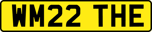 WM22THE