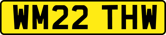 WM22THW