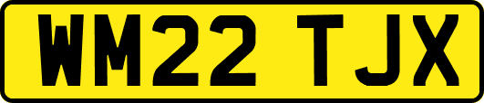 WM22TJX