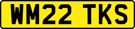 WM22TKS
