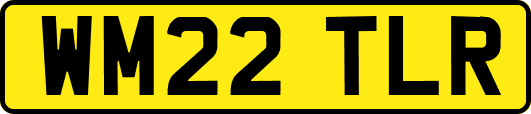 WM22TLR