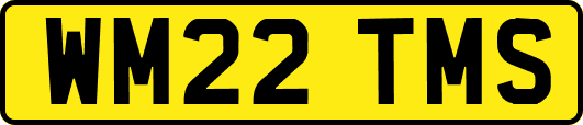 WM22TMS