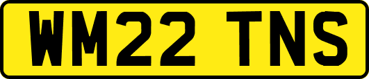 WM22TNS