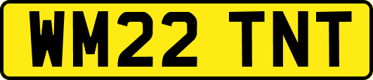 WM22TNT