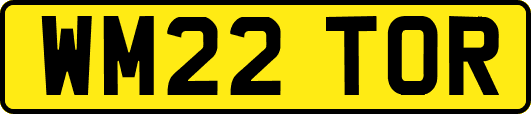 WM22TOR