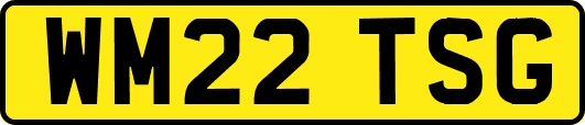 WM22TSG
