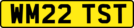 WM22TST