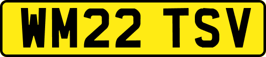 WM22TSV