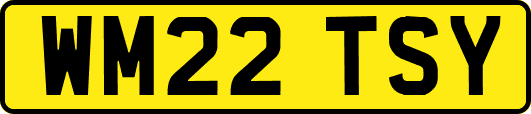 WM22TSY