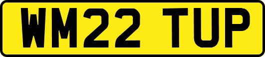 WM22TUP
