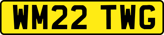 WM22TWG