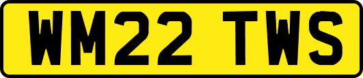 WM22TWS