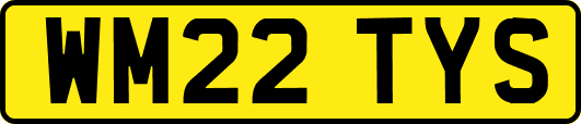 WM22TYS