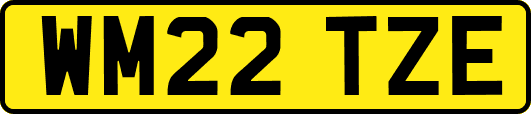 WM22TZE