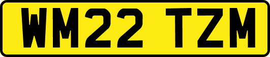 WM22TZM