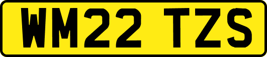 WM22TZS