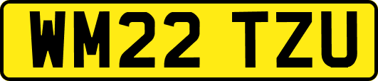 WM22TZU