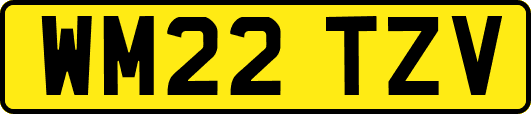 WM22TZV