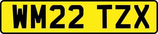 WM22TZX