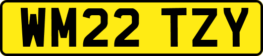 WM22TZY