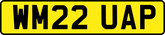 WM22UAP