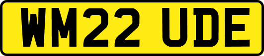 WM22UDE
