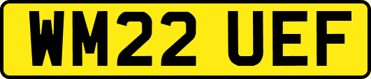 WM22UEF