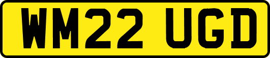 WM22UGD