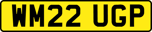 WM22UGP