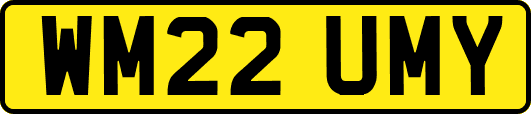 WM22UMY