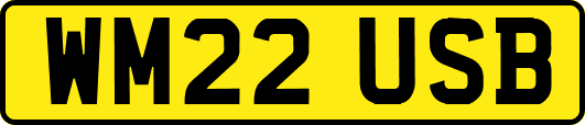 WM22USB
