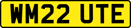 WM22UTE