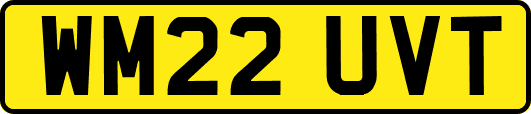 WM22UVT