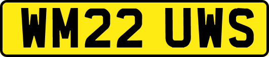 WM22UWS