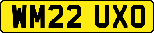 WM22UXO