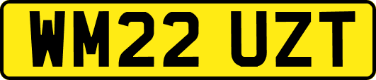 WM22UZT