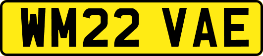WM22VAE