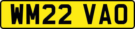 WM22VAO