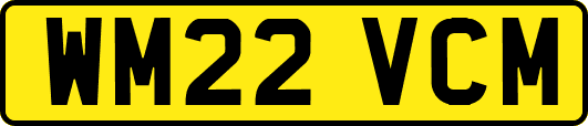 WM22VCM