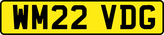 WM22VDG