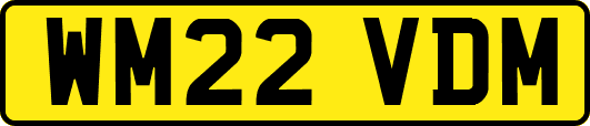 WM22VDM