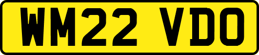 WM22VDO