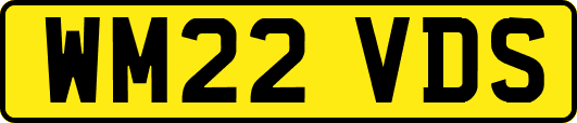 WM22VDS