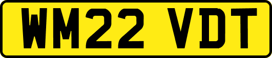 WM22VDT