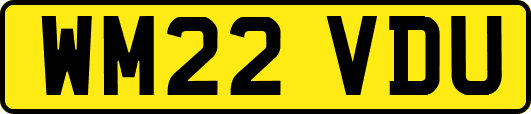 WM22VDU