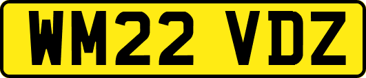 WM22VDZ