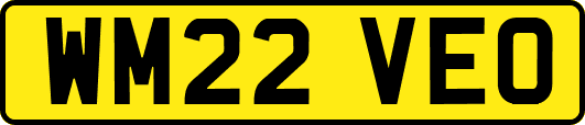 WM22VEO