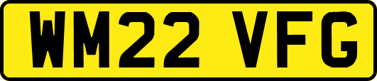 WM22VFG