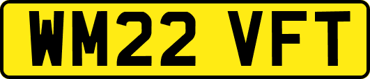 WM22VFT